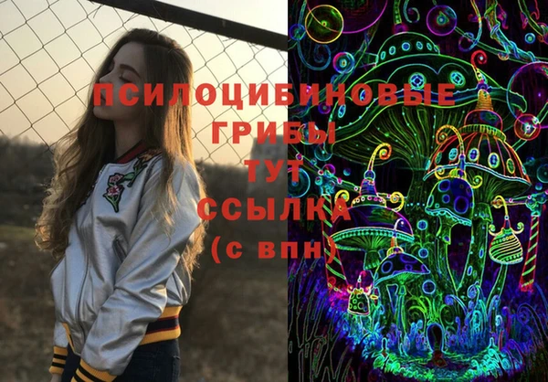 спиды Алексеевка