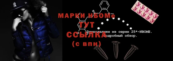 мдпв Алексин