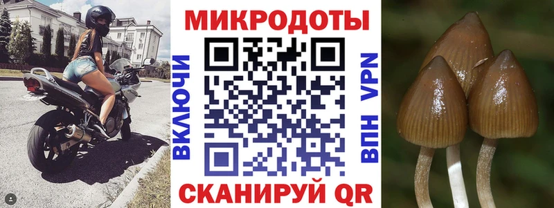 купить наркотик  Ставрополь  Галлюциногенные грибы Magic Shrooms 